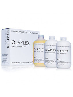 Olaplex Salon Intro Kit...